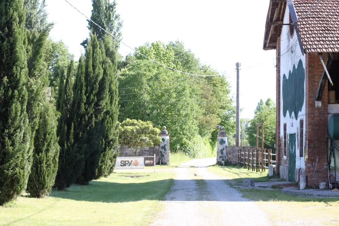 A white horse grazing in the countryside at Beatilla