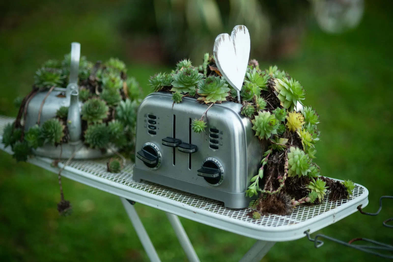 The shabby chic garden at Beatilla